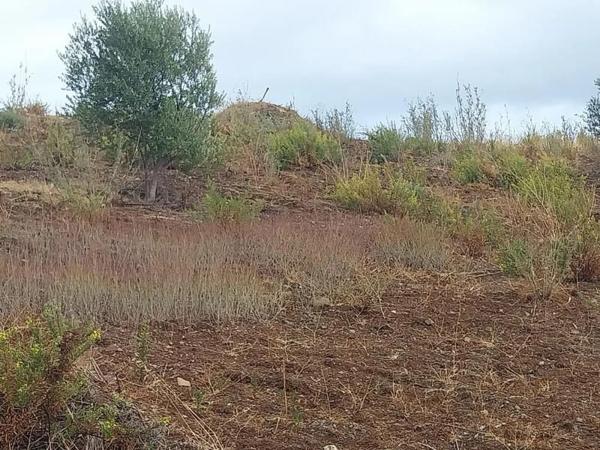 Terreno en Barrio Las Lomas