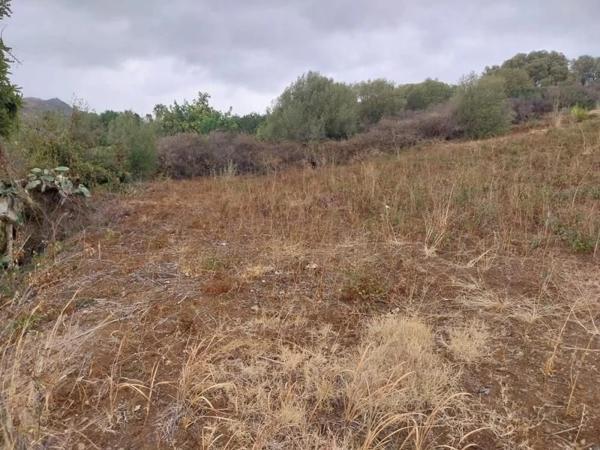 Terreno en Barrio Las Lomas