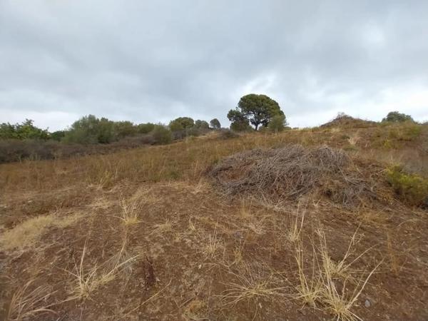 Terreno en Barrio Las Lomas