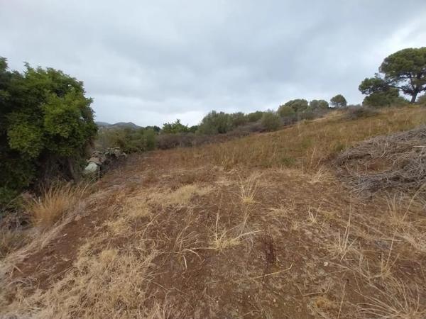 Terreno en Barrio Las Lomas