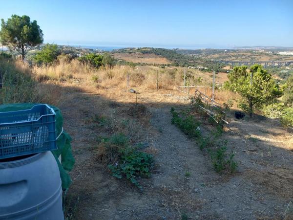 Terreno en Diseminado Pedregales