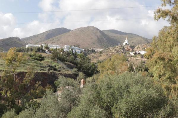 Terreno en calle el Olmedo