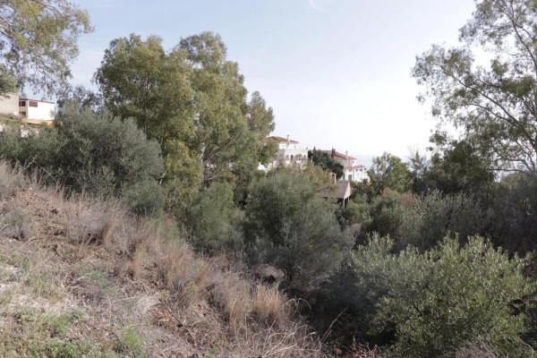 Terreno en calle el Olmedo