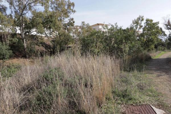 Terreno en calle el Olmedo