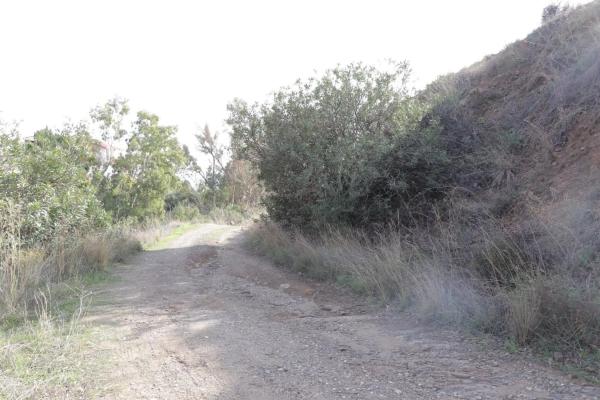 Terreno en calle el Olmedo