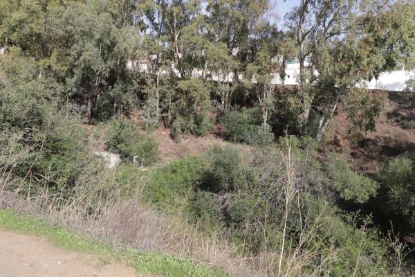 Terreno en calle el Olmedo