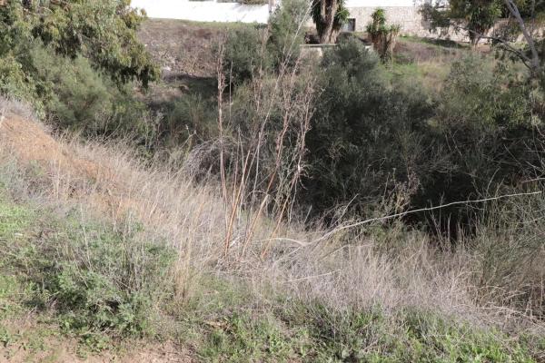 Terreno en calle el Olmedo