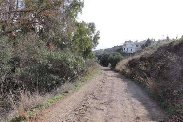 Terreno en calle el Olmedo