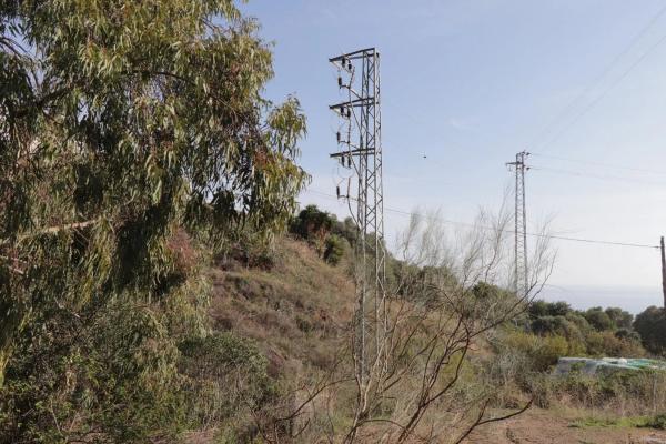 Terreno en calle el Olmedo