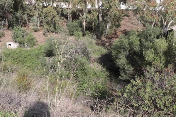 Terreno en calle el Olmedo