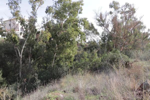 Terreno en calle el Olmedo