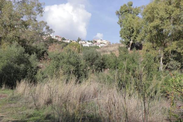 Terreno en calle el Olmedo