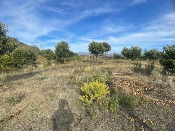 Terreno en calle el Romeral, 1