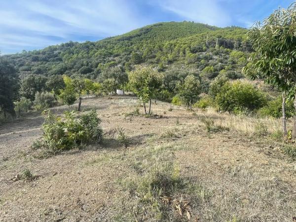 Terreno en calle el Romeral, 1