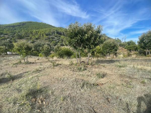 Terreno en calle el Romeral, 1