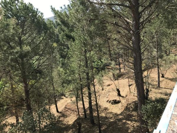 Terreno en camino pilar de cartajima s/n