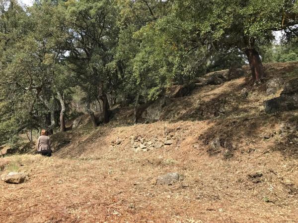 Terreno en camino pilar de cartajima s/n