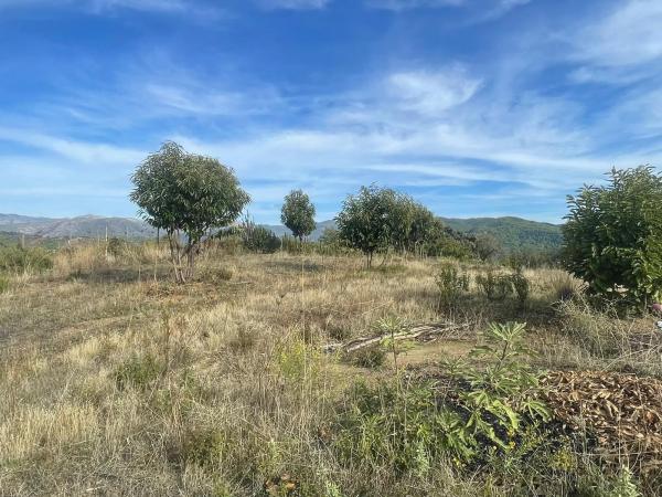 Terreno en calle el Romeral, 1