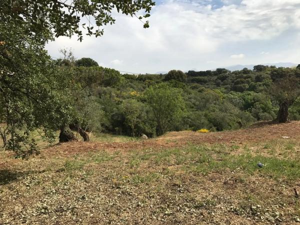 Terreno en camino pilar de cartajima s/n