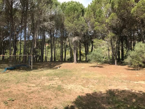 Terreno en camino pilar de cartajima s/n