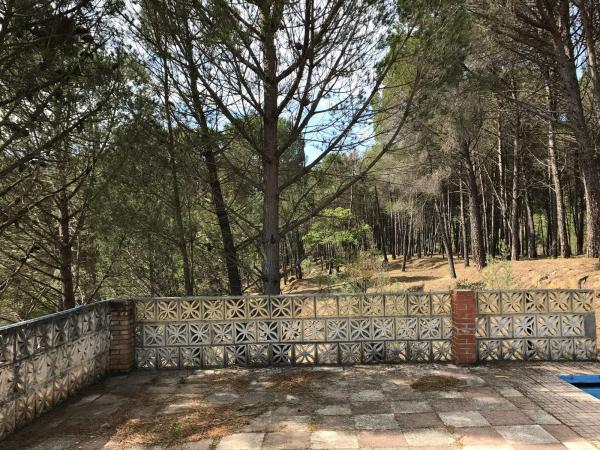 Terreno en camino pilar de cartajima s/n