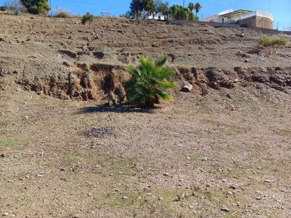 Terreno en Benajarafe