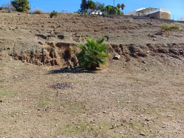Terreno en Benajarafe