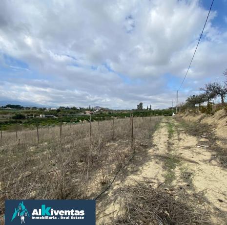 Terreno en carretera de Borrajo