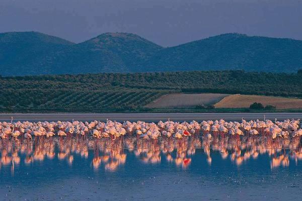 Terreno en Fuente de Piedra