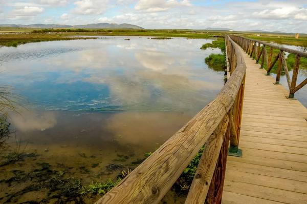 Terreno en Fuente de Piedra
