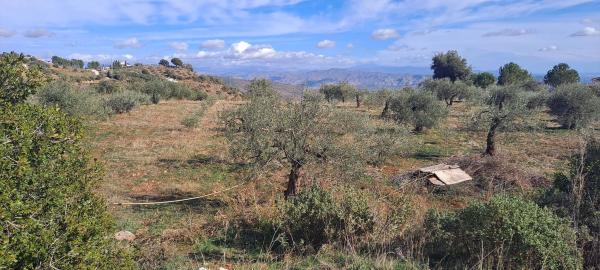 Terreno en Llano Julian / Pdo. Almarages s/n