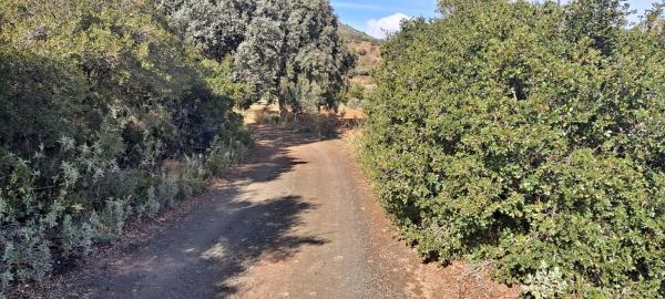 Terreno en Llano Julian / Pdo. Almarages s/n