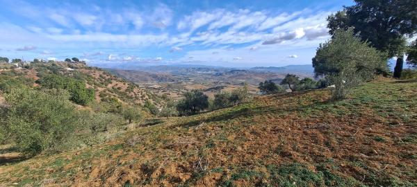 Terreno en Llano Julian / Pdo. Almarages s/n