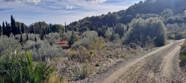 Terreno en Llano Julian / Pdo. Almarages s/n