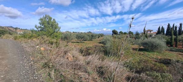 Terreno en Llano Julian / Pdo. Almarages s/n