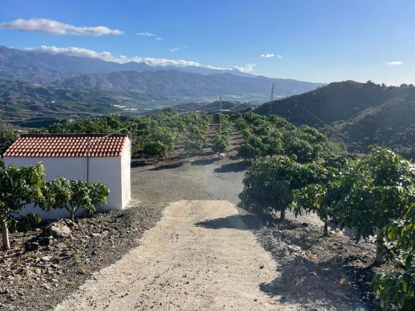 Terreno en Diseminado los Pepones, km 0