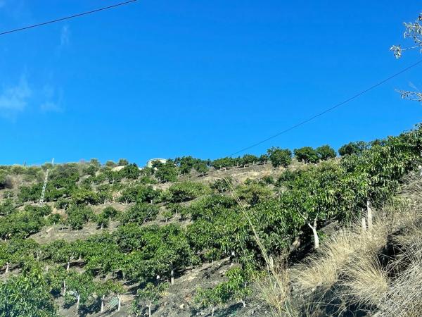 Terreno en Diseminado los Pepones, km 0