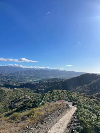 Terreno en Diseminado los Pepones, km 0