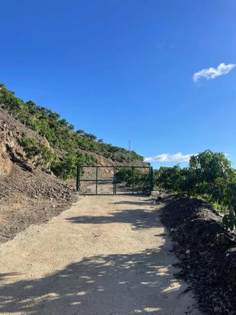 Terreno en Diseminado los Pepones, km 0