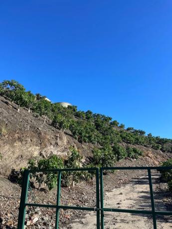 Terreno en Diseminado los Pepones, km 0