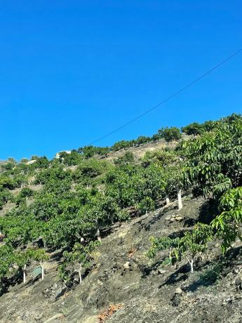 Terreno en Diseminado los Pepones, km 0