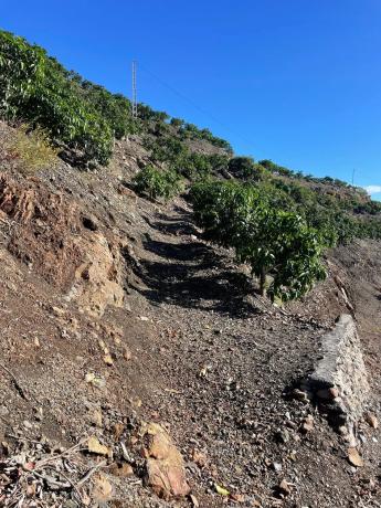 Terreno en Diseminado los Pepones, km 0