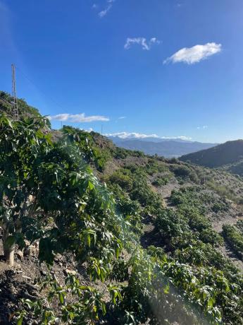 Terreno en Diseminado los Pepones, km 0