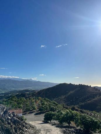 Terreno en Diseminado los Pepones, km 0