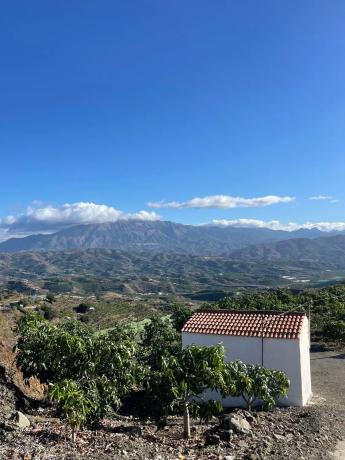 Terreno en Diseminado los Pepones, km 0