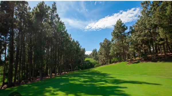 Terreno en Chaparral, 13