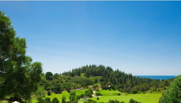 Terreno en Chaparral, 13