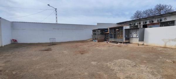 Terreno en El Pinillo