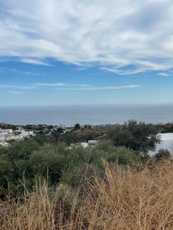 Terreno en calle Araucaria, 35 -23