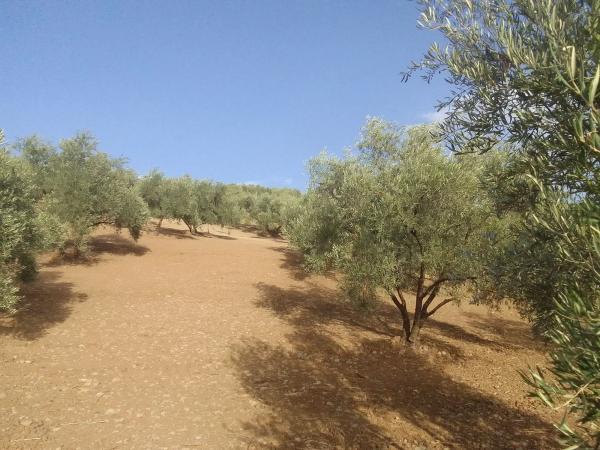 Terreno en Lugar Arroyo Coche, 33